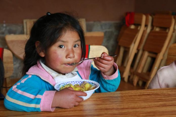 primera infancia anemia desnutrición