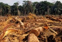 MOCICC advierte campaña de desinformación contra Acuerdo de Escazú