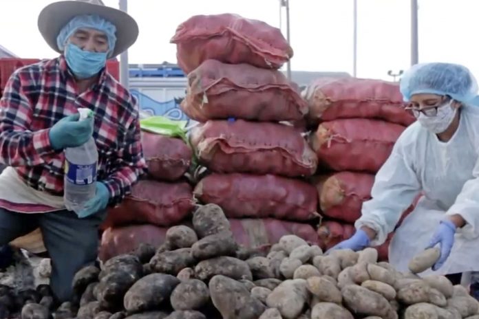 pequeños productores