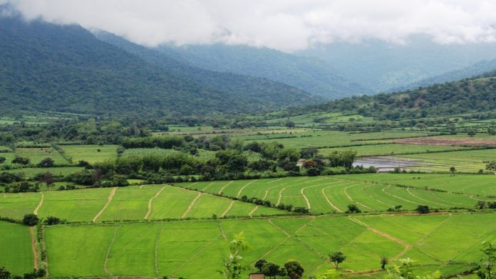 valle del Alto Piura