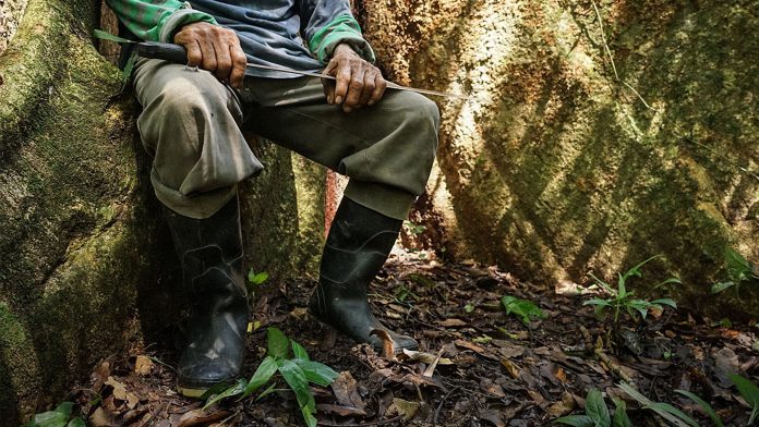 líderes ambientales