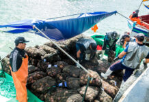 Sechura: maricultores de la bahía se unirán al paro del 15 de noviembre