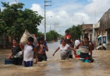Autoridades descartan desborde del río Piura a la altura de Cura Mori y La Arena