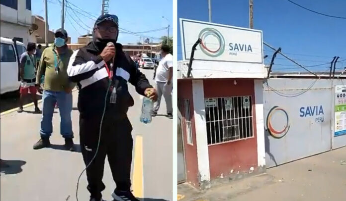 NEGRITOS OFICINA SAVIA OXIGENO