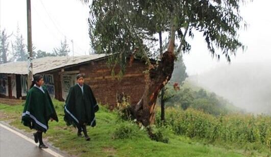 Bajas-temperaturas.-Frias-1