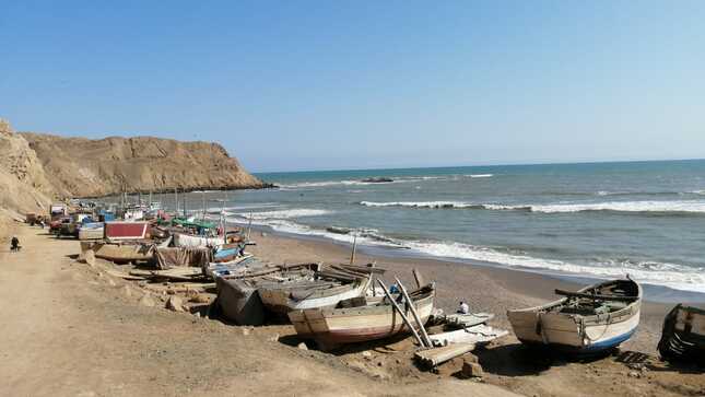 standard_WhatsApp Image 2021-08-31 at 6.46.41 PM.jpeg