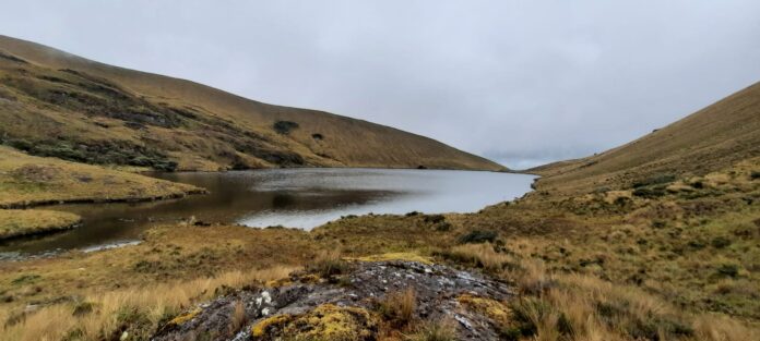 páramos - piura-gore (2)