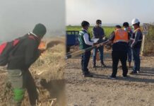 La Huaca: ¿Y el plan de contingencia? Hallan a trabajadores de Caña Brava echando tierra con palana para sofocar fuego