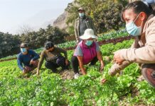 Campesinas y campesinos siguen luchando por sus derechos
