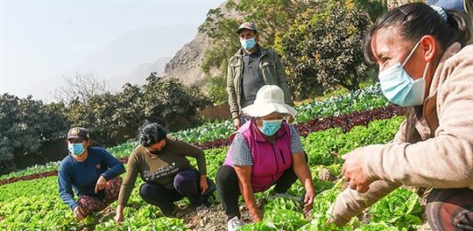 Campesinas y campesinos siguen luchando por sus derechos