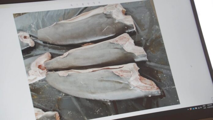 WhatsApp Image 2022-05-11 at 1.38.12 PM (1)