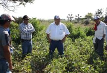 Agricultores piden a la nueva ministra garantizar el agua para sus tierras