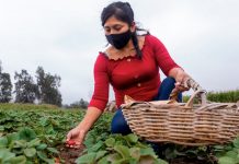 “El rol de las mujeres en la agricultura no es reconocido ni visible”