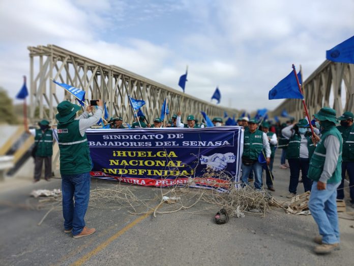 WhatsApp Image 2022-10-25 at 11.59.08 AM