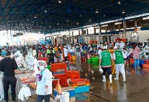 Terminal Pesquero de Piura: precios se mantienen a pesar de paro