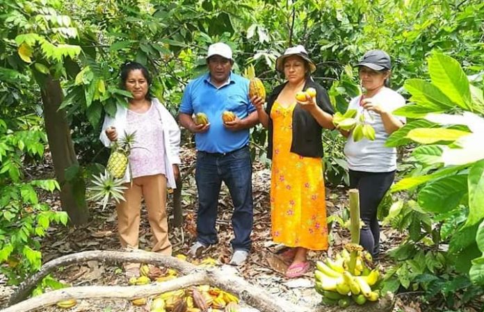 315882072_5664032697059115_1362575000341690135_n