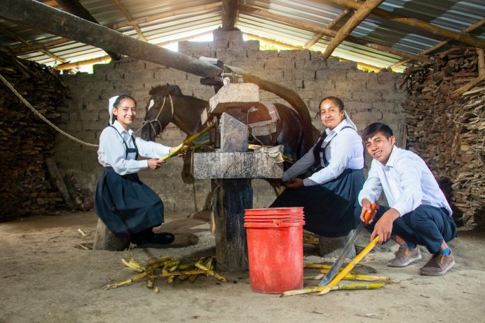 WhatsApp Image 2023-02-01 at 19.40.17