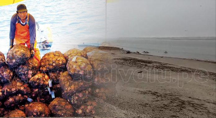 reventazon maricultores