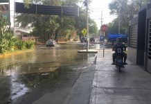 Municipalidad de Piura anuncia la ampliación de carriles de la Av. Los Tallanes en Los Ejidos