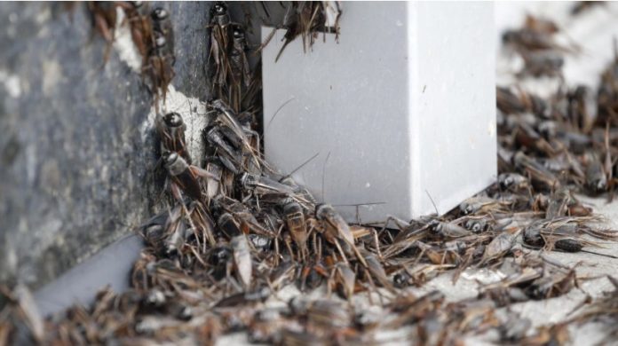 WhatsApp Image 2023-06-20 at 11.21.54 AM