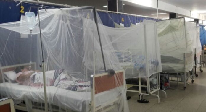 contagios de dengue en piura Piura: casos de dengue alcanzan el pico más alto en los últimos 6 años Alerta en Piura: Más de 9500 pacientes y 13 muertos por dengue en la región
