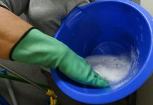 Dengue en Piura: Infectólogo recomienda lavar depósitos de agua cada tres días