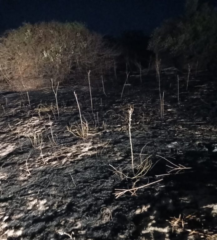 a7872d65-3c2f-4499-8bb1-e2d7bbad2a7d