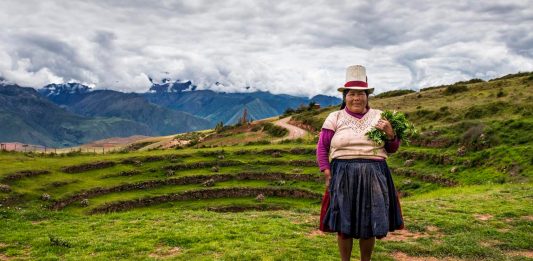 El Papel de la Mujer en el Conflicto de Tierras en la Comunidad Campesina San Juan Bautista de Catacaos