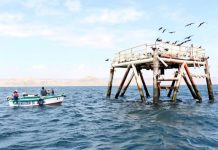 Gobierno autoriza explotación de petróleo del lote V en Talara