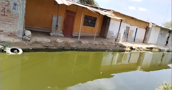 Vecinos del A.H Tupac Amaru II conviven desde hace un año con el afloramiento de desagües Vecinos del A.H Tupac Amaru II conviven desde hace un año con el afloramiento de desagües
