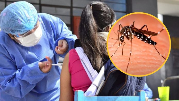 Vacuna contra el dengue tiene una efectividad importante, afirma el Colegio Médico de Piura