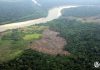 Seis regiones concentran el 86% de la deforestación en la Amazonía peruana