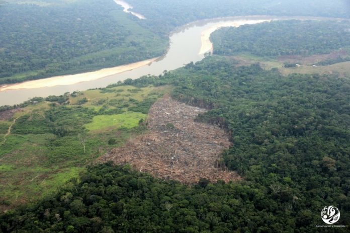 Seis regiones concentran el 86% de la deforestación en la Amazonía peruana Seis regiones concentran el 86% de la deforestación en la Amazonía peruana
