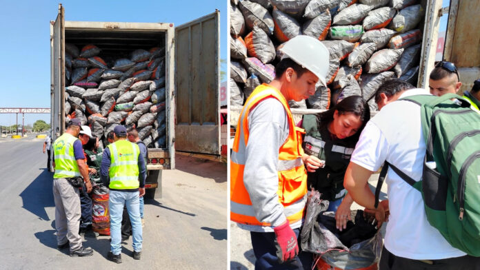 Operativo de intervención Operativo de intervención