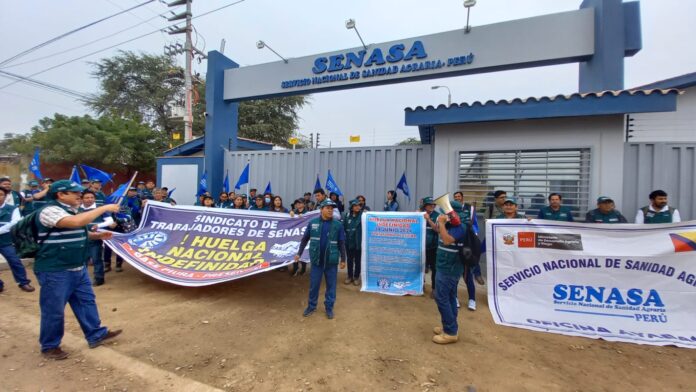 Piura: trabajadores de Senasa acatan huelga nacional exigiendo mejoras salariales