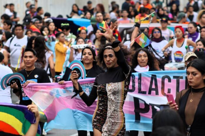marcha del orgullo Comunidad LGBTIQ disconforme con resolución del Minsa sobre identidades trans