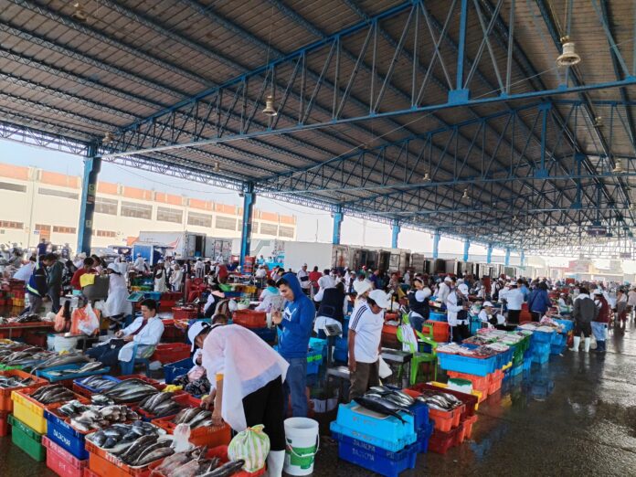 precio del pescado día del padre Precio del pescado por el Día del Padre: Bonito a S/ 4 el kilo en el terminal pesquero de Piura