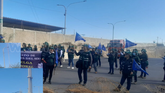 Sindicato de SENASA Piura