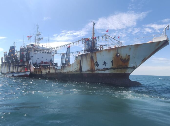 Barcos chinos en Paita: persiste la falta de fiscalización pese a denuncias de pescadores