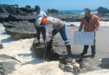 OEFA supervisa derrame en El Alto, Talara