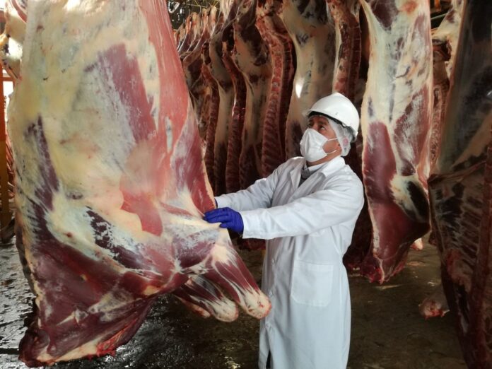 Ningún matadero municipal de Piura cuenta con autorización sanitaria, advierte Senasa
