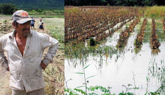 Agricultores rechazan indemnización