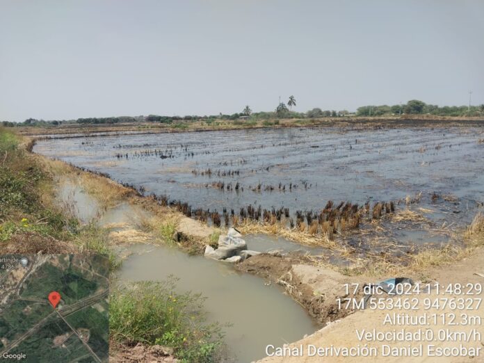 Denunciarán penalmente a agricultores del Chira que utilicen agua para regar cultivos transitorios