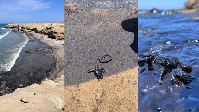 Derrame de petróleo en playas de Lobitos