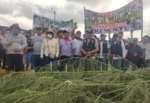Agricultores de Tambogrande marcharon contra proyecto minero El Algarrobo