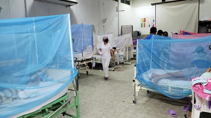 Casos de dengue disminuyen en Ayacucho, pero autoridades piden no bajar la guardia