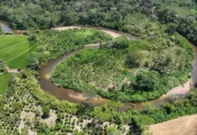 Huánuco: Intervienen campamento ilegal que devastaba humedales protegidos