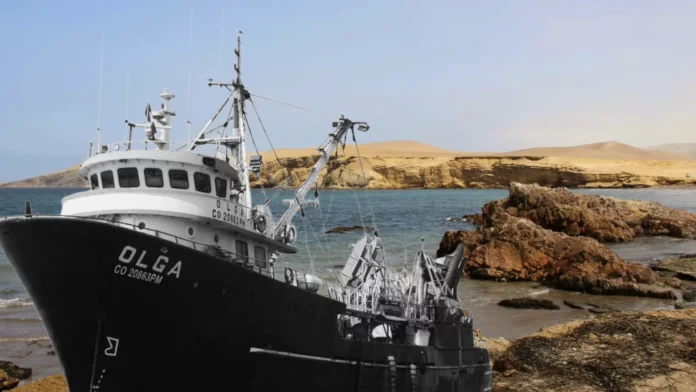 El futuro de Paracas en manos del Poder Judicial: Se acerca el fallo que decidirá si la pesca industrial podrá ingresar a las áreas naturales protegidas