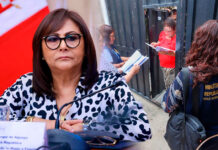 Caso Milagros Jáuregui