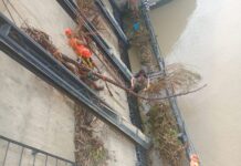 PTAP El Arenal reinició operaciones